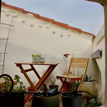 Joli Avec Terrasse-jardin Sur Les Toits, Coeur Historique 몽펠리에