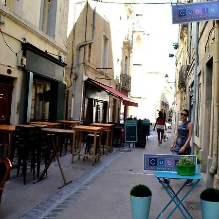 Joli Avec Terrasse-jardin Sur Les Toits, Coeur Historique 蒙彼利埃