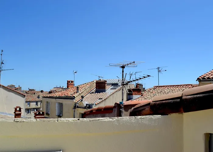 Apartment Joli Avec Terrasse-jardin Sur Les Toits, Coeur Historique Montpellier