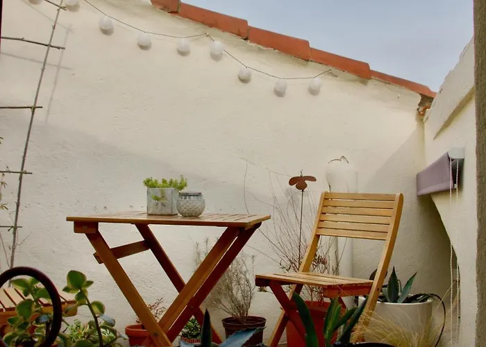 Joli Avec Terrasse-jardin Sur Les Toits, Coeur Historique Montpellier