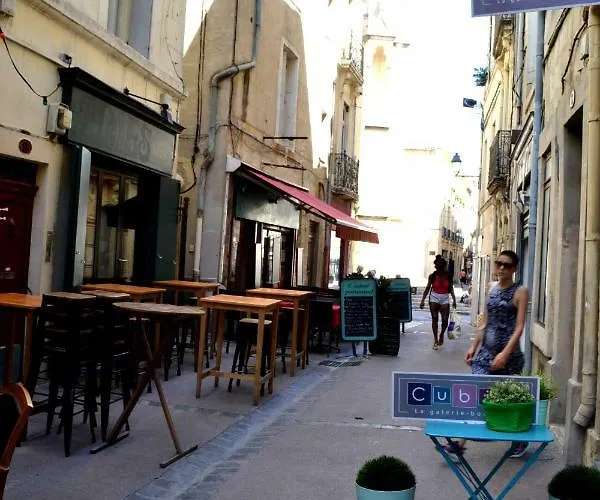 Joli Avec Terrasse-jardin Sur Les Toits, Coeur Historique Montpellier
